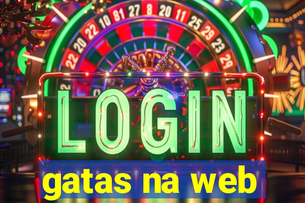 gatas na web