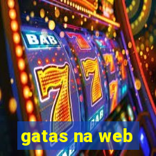 gatas na web