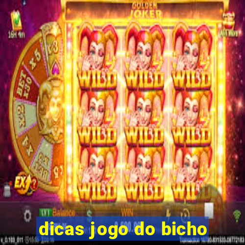 dicas jogo do bicho