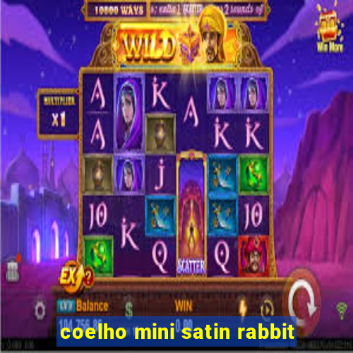 coelho mini satin rabbit