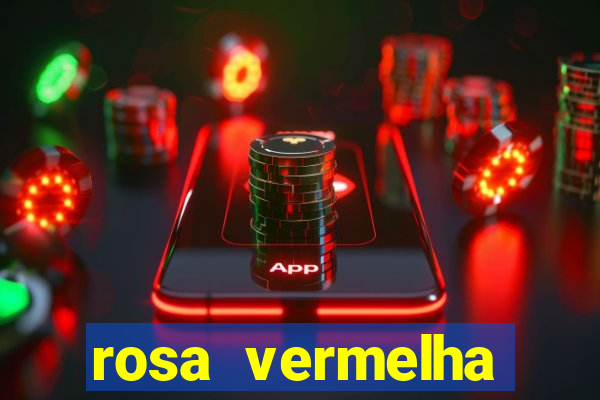 rosa vermelha (letra e cifra)