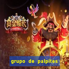 grupo de palpites de futebol telegram