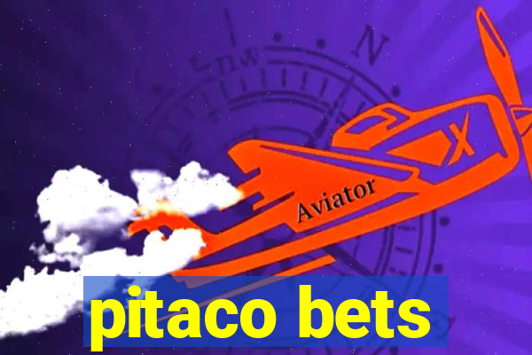 pitaco bets