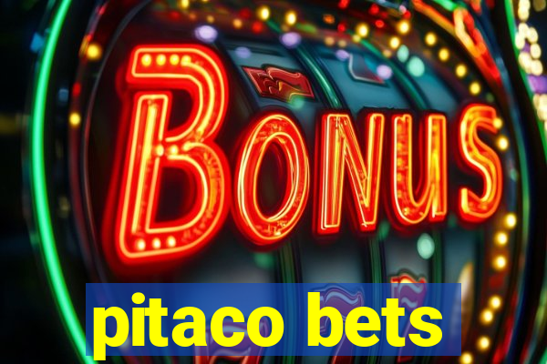 pitaco bets